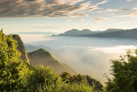 台湾の阿里山