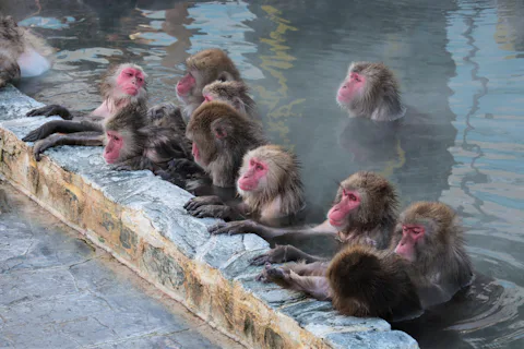 函館市熱帯植物園