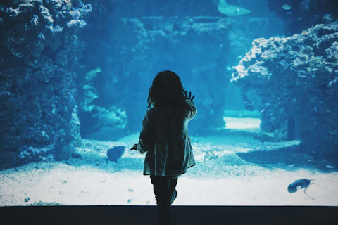 ニューカレドニアのラグーン水族館