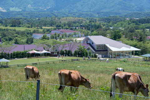 岡山の真庭エリア