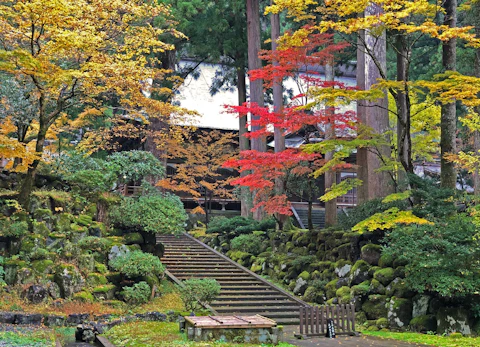 福井の永平寺