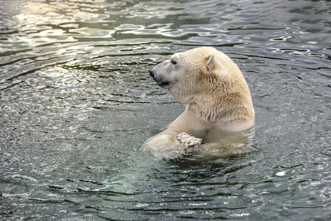 タリンのタリン動物園