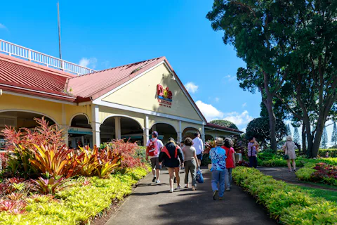 ハワイのドール・プランテーション