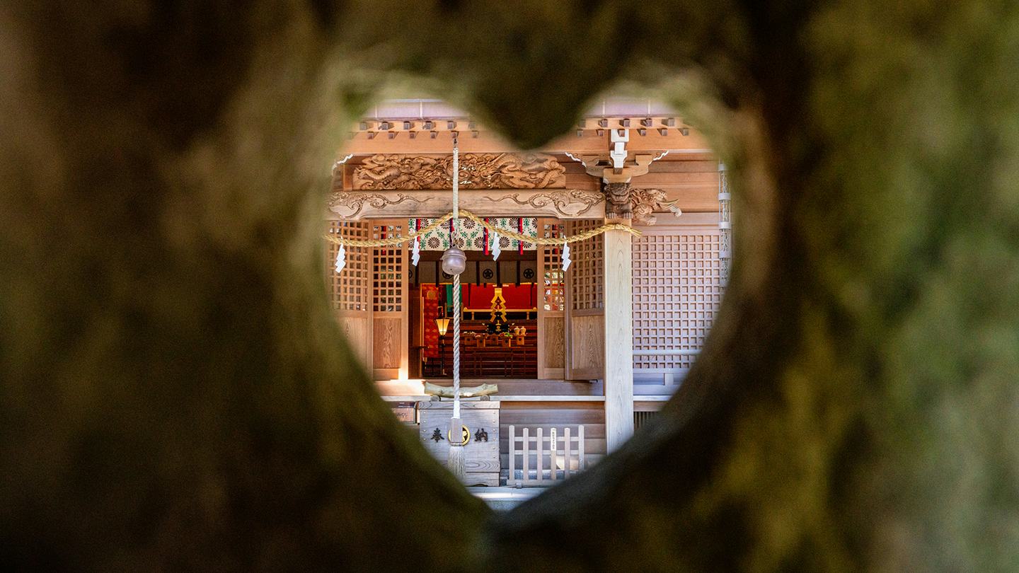 須山浅間神社で出会う!樹齢500年の杉とハートの灯籠