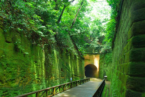 神奈川の猿島