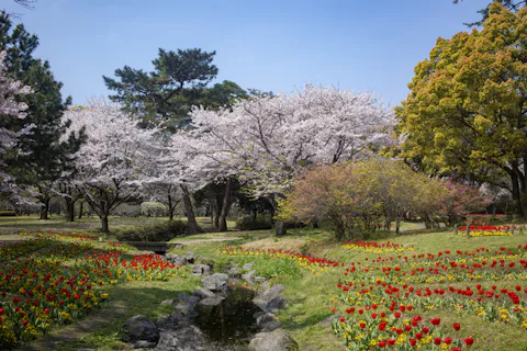 別府公園