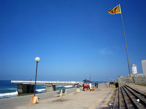 ゴール フェイス グリーン