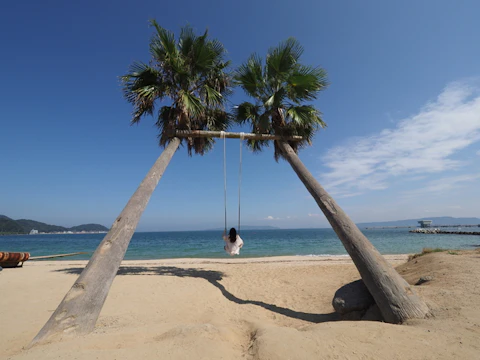 福岡のヤシの木ブランコ