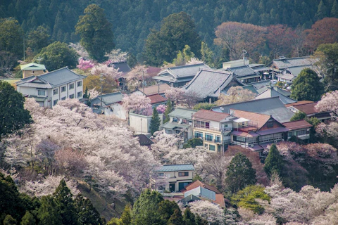 奈良の吉野