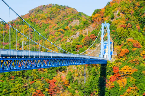 茨城の竜神大吊橋