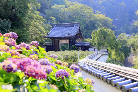 長谷寺