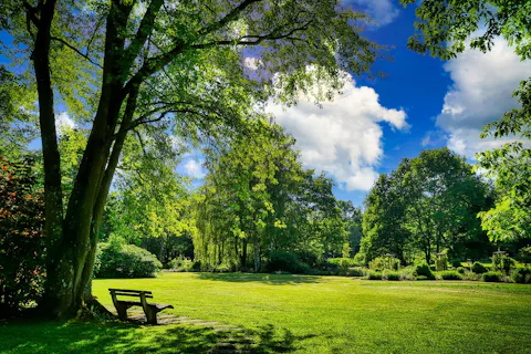 スルタンパーク