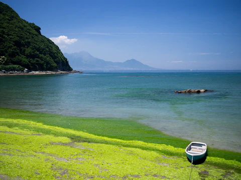 熊本の天草