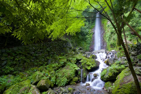 岐阜の養老の滝