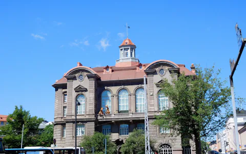 ヘルシンキ自然史博物館