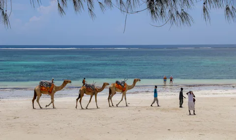 ダイアニ・ビーチ