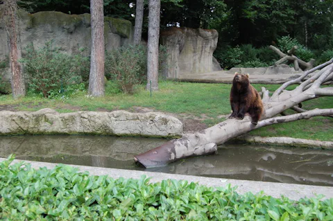 ハンブルクのハーゲンベック動物園