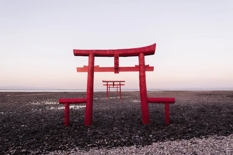 佐賀の大魚神社 海中鳥居