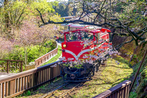 阿里山の阿里山森林鉄道