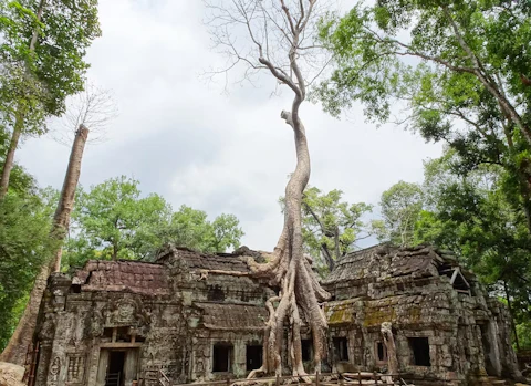 カンボジアのタ・プローム遺跡