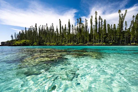 ニューカレドニアのピッシンヌ・ナチュレル(Piscine Naturelle)