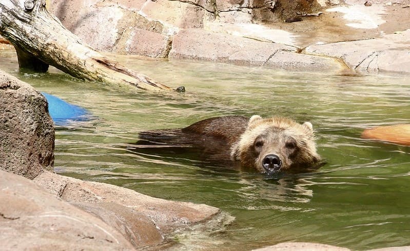 インディアナポリス動物園