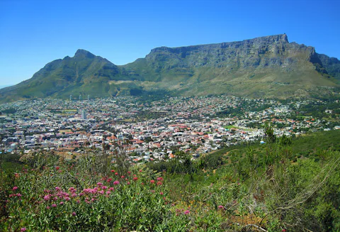 南アフリカのテーブルマウンテン