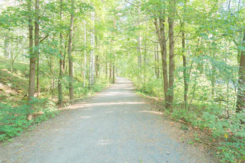 タンペレのピューニッキ公園