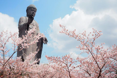 茨城の牛久大仏