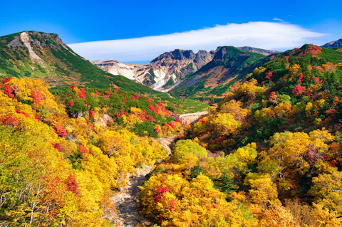 十勝岳温泉