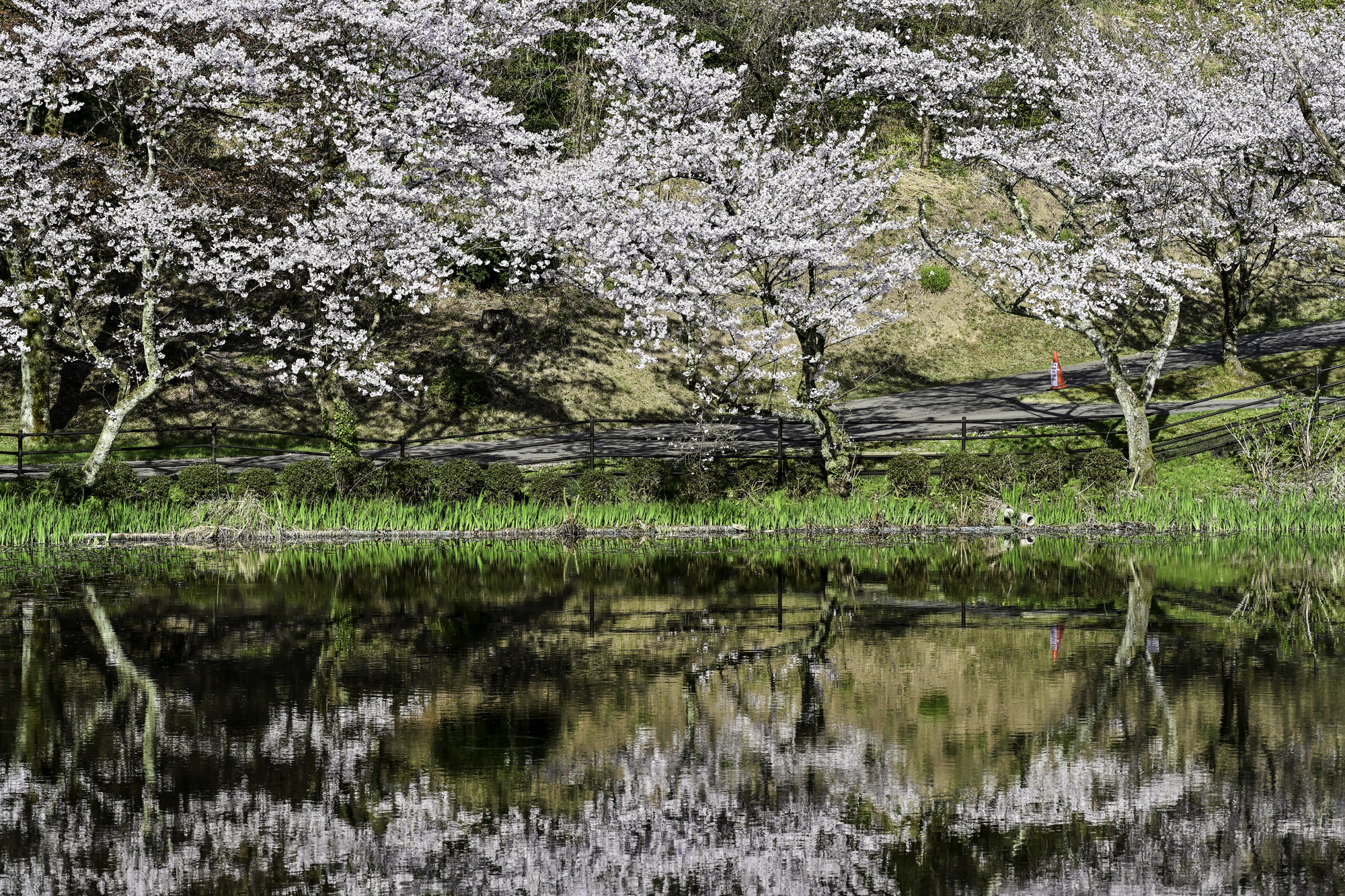 卯辰山公園