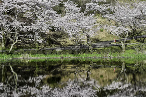 卯辰山公園