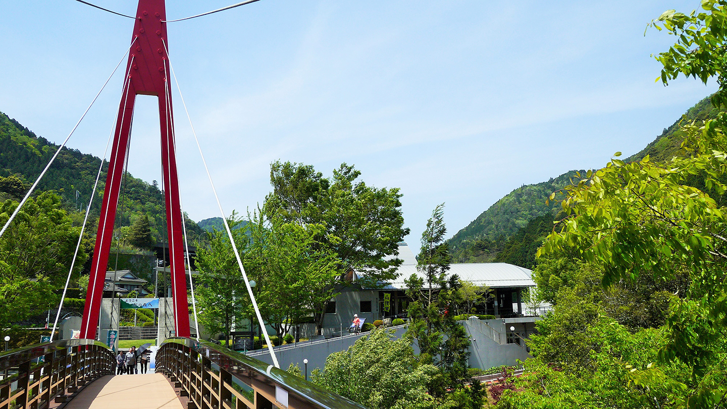 四国の自然とお茶を満喫!道の駅 霧の森の見どころを徹底ガイド