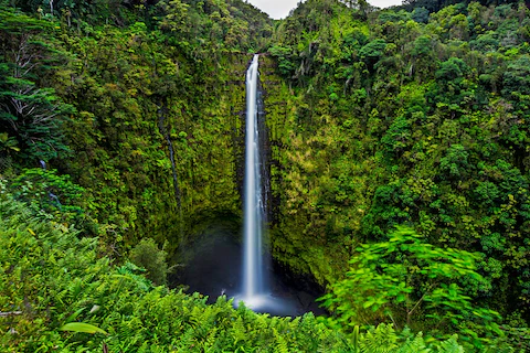 ハワイのアカカ滝州立公園