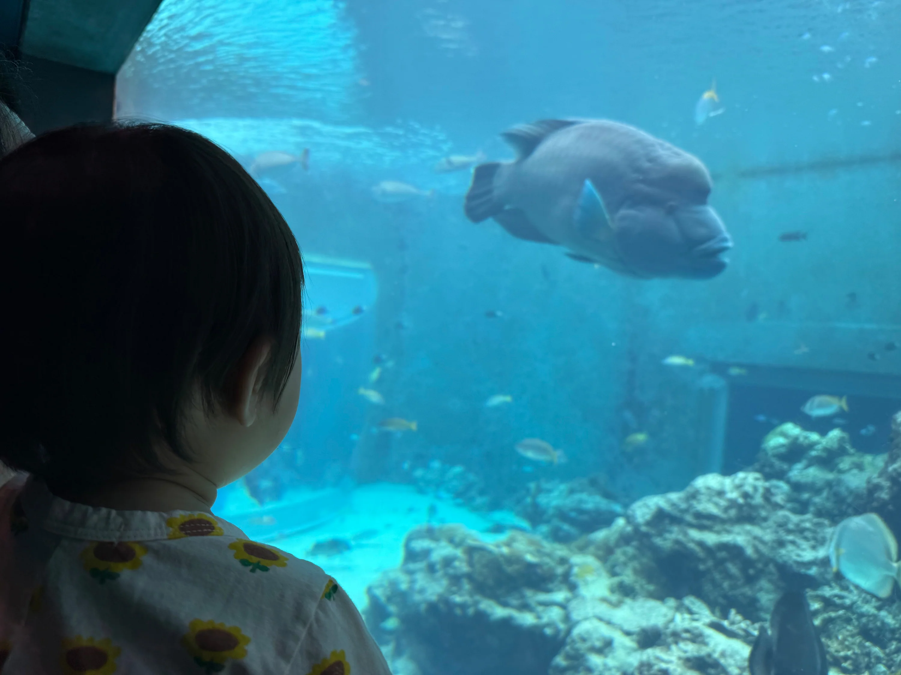 ドラマ制作日誌 ② 直感と戦略