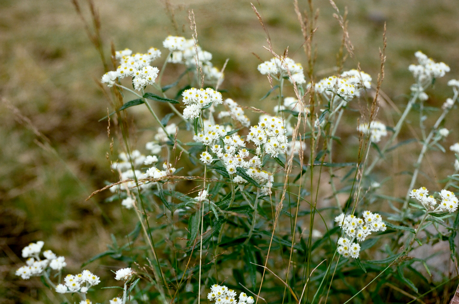 登り、考え、祈ること