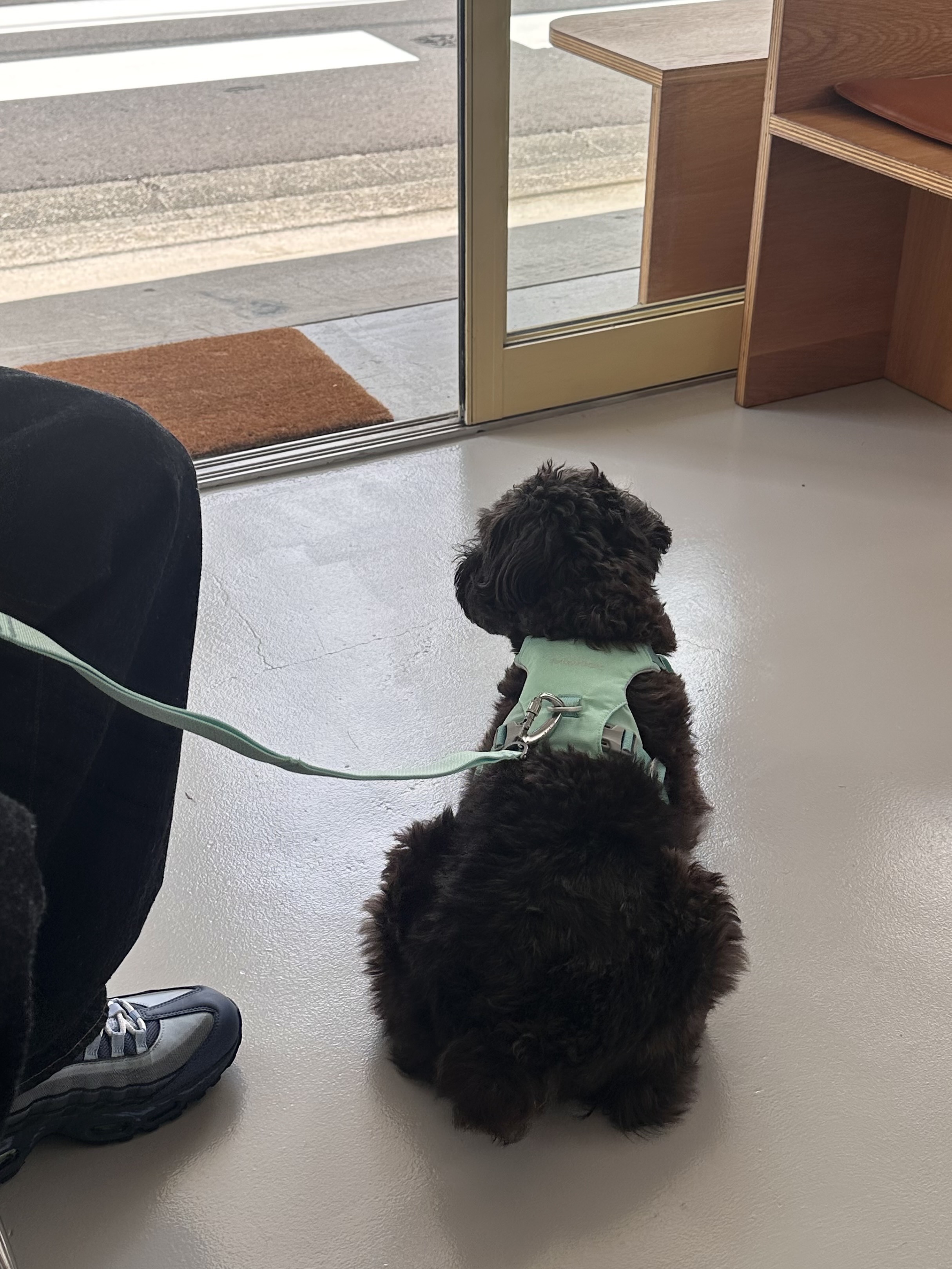 私にとってちょうどいい、食べるもの