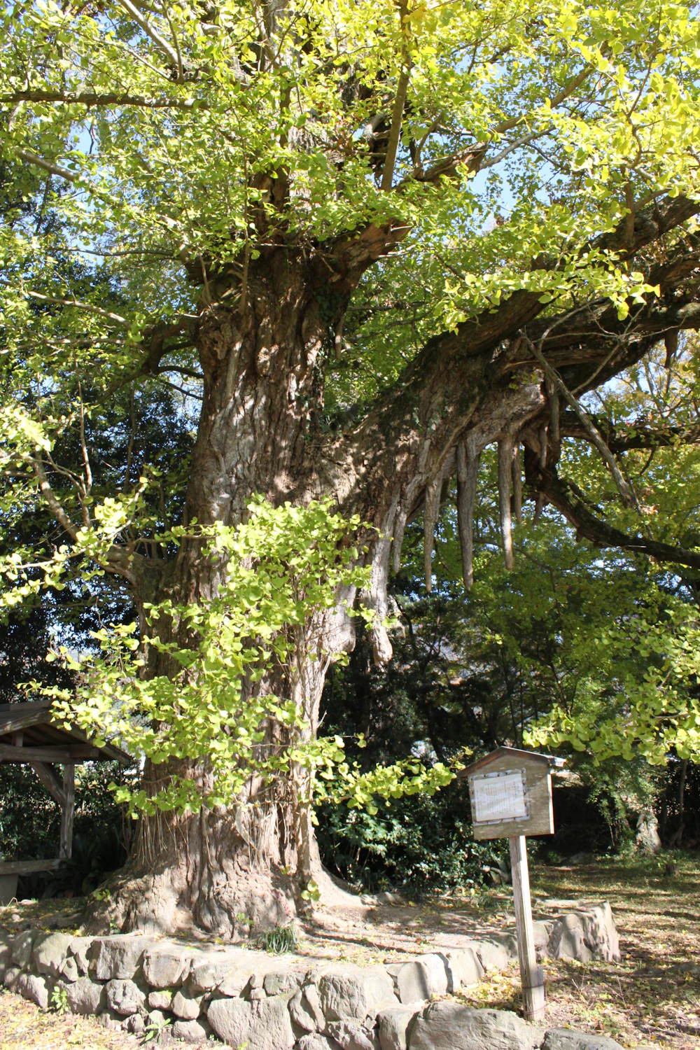 データベース | 亀岡市文化資料館