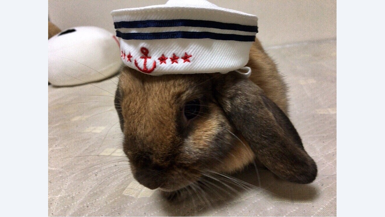 3年 迫田 兼彰