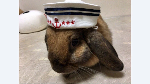 3年 迫田 兼彰