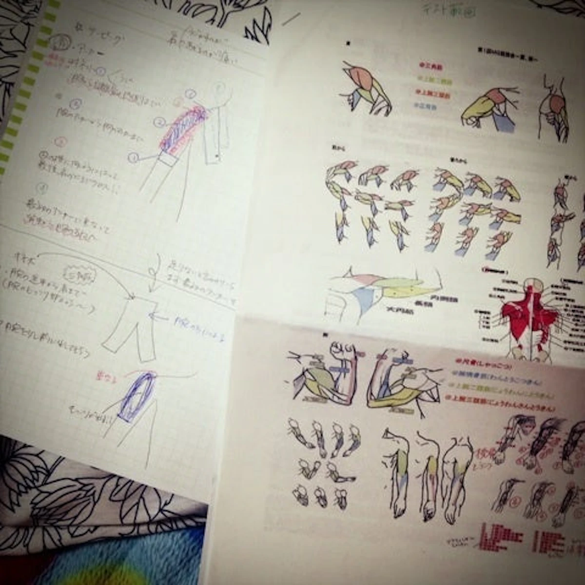 photo:07