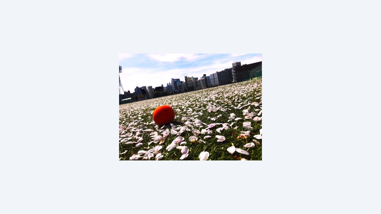 新学期