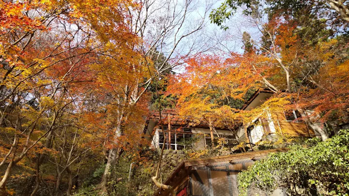 通知の画像