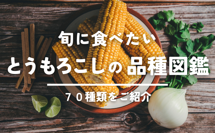 とうもろこし様 リクエスト 2点 まとめ商品 トウモロコシ様 リクエスト 2点 まとめ商品 とうもろこし様
