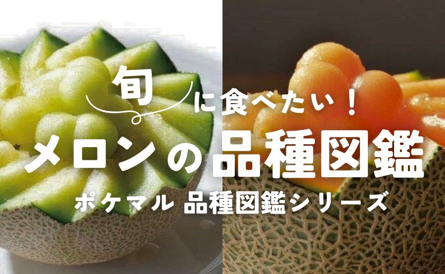 メロンの通販・お取り寄せ商品｜果物｜ポケットマルシェ｜産地