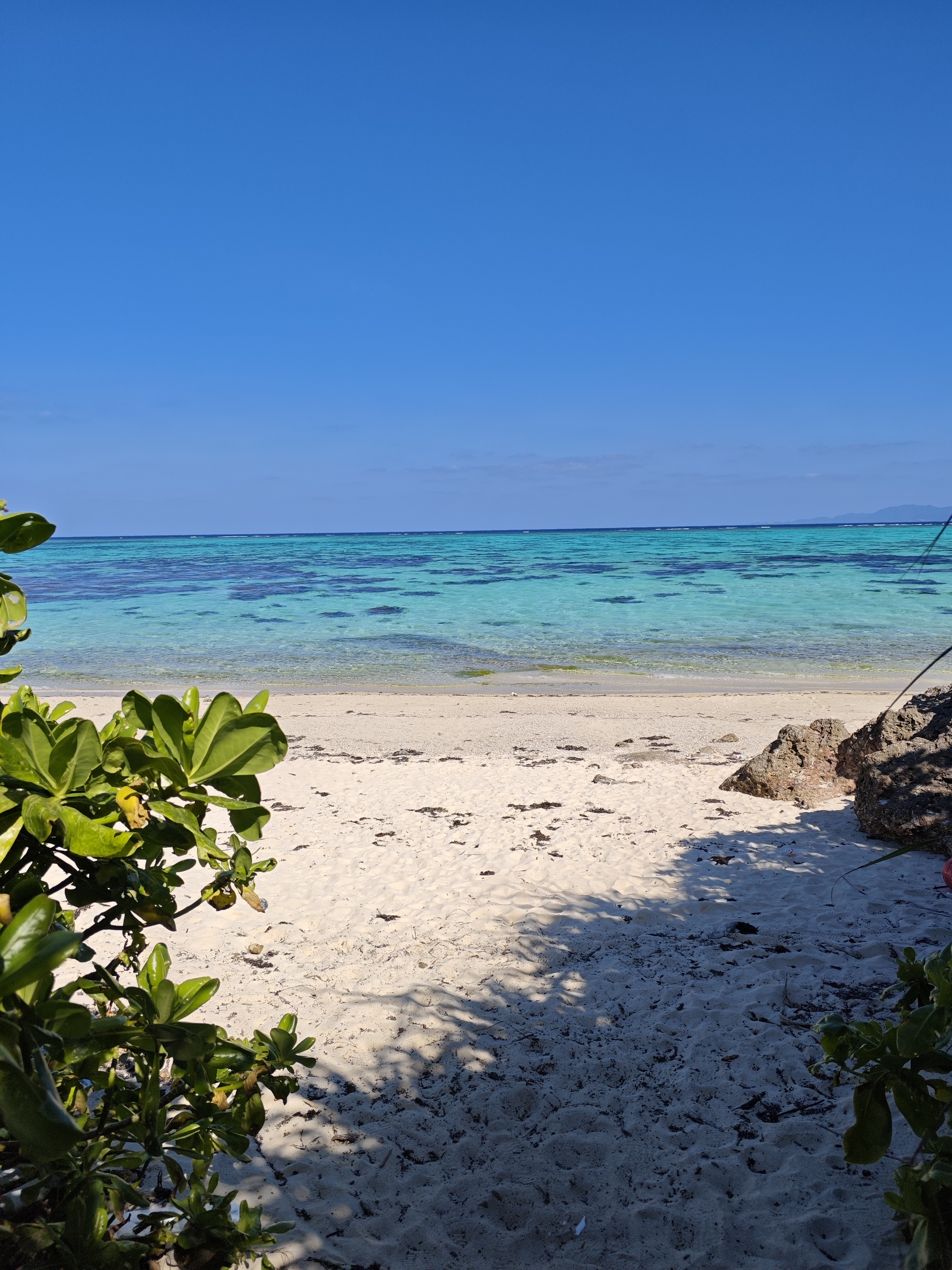 森を抜けると目の前に広がるターコイズブルー！