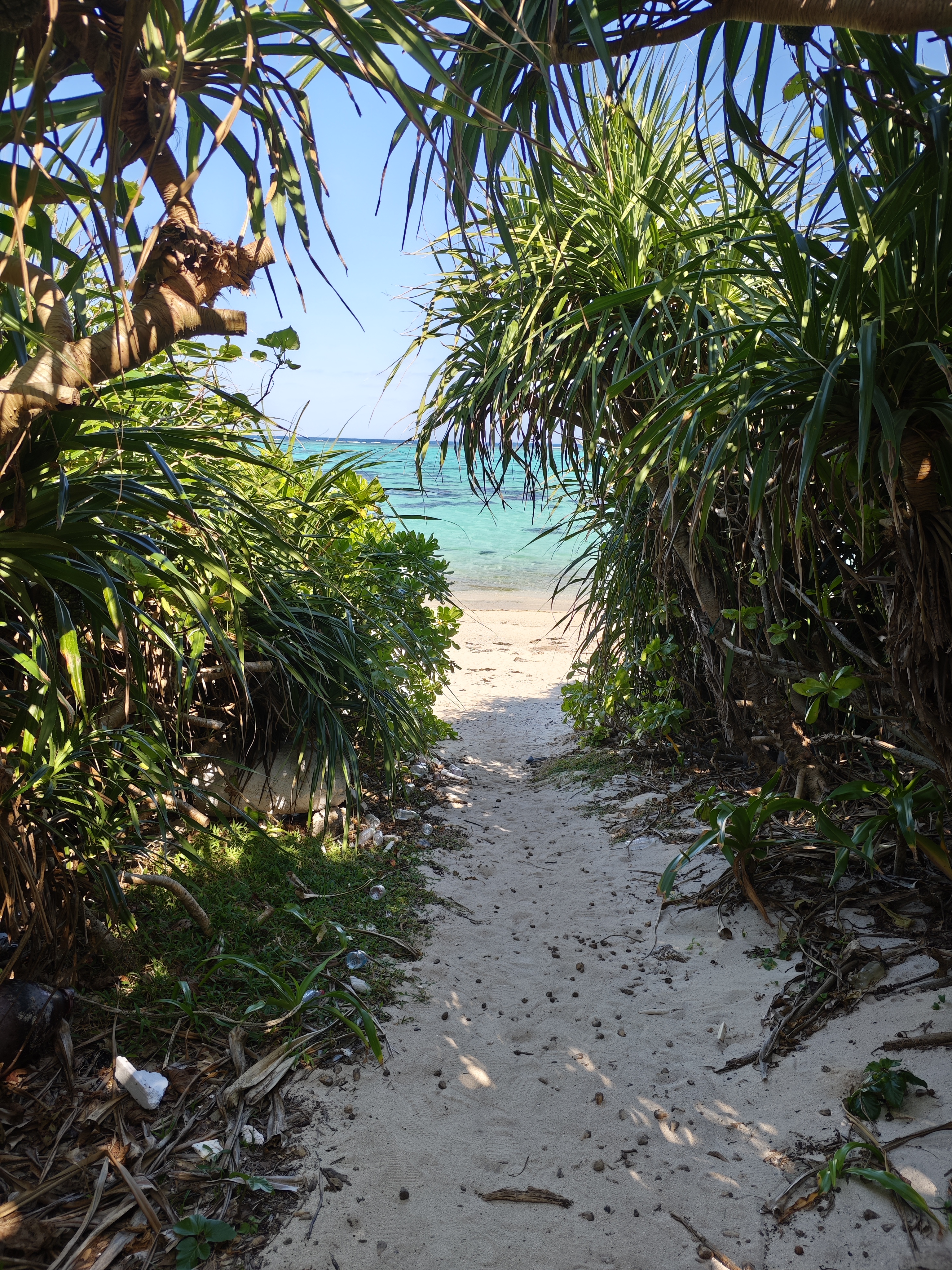 鬱蒼とした森の先に広がるタバガー