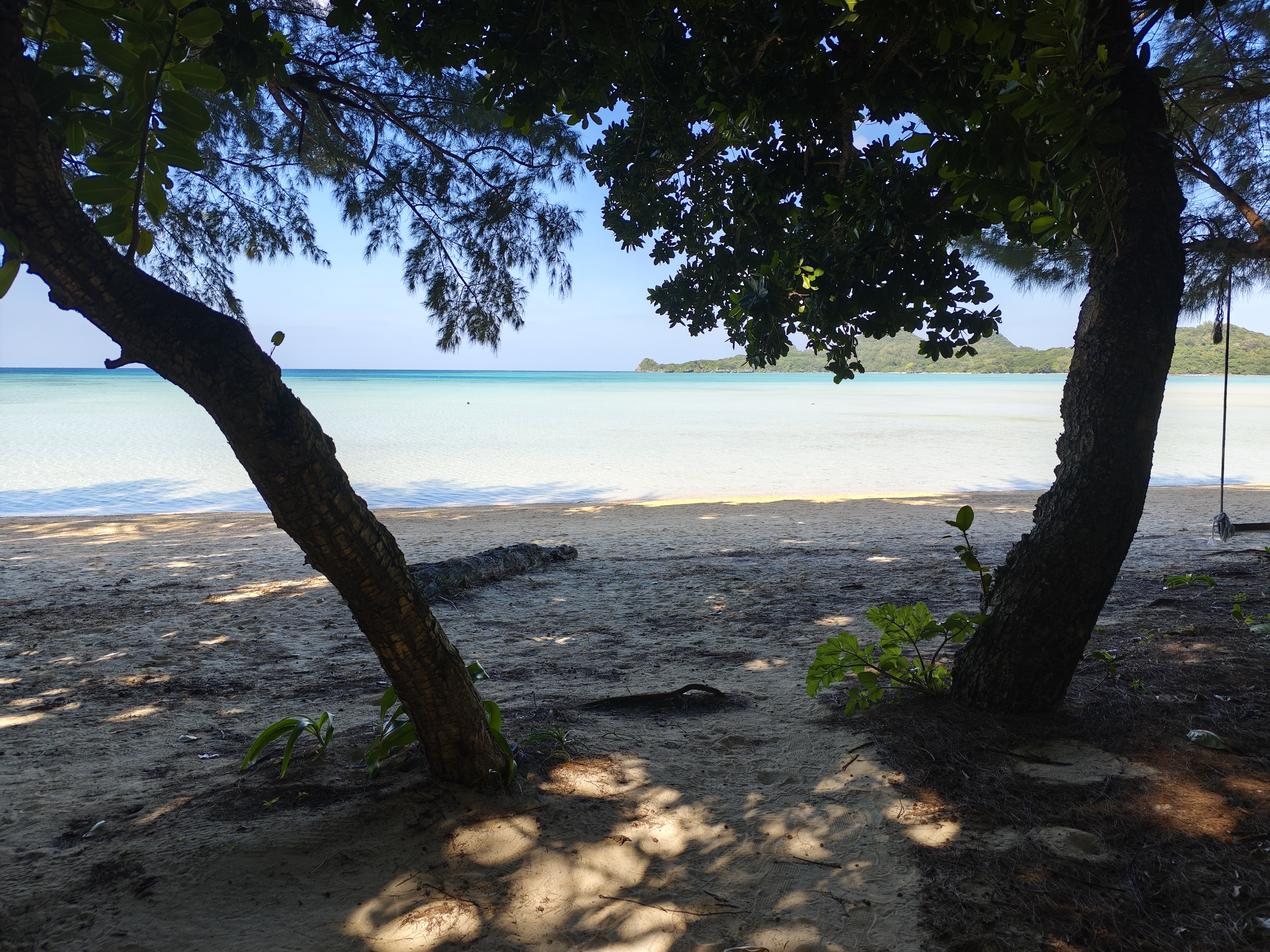 底地ビーチの木陰