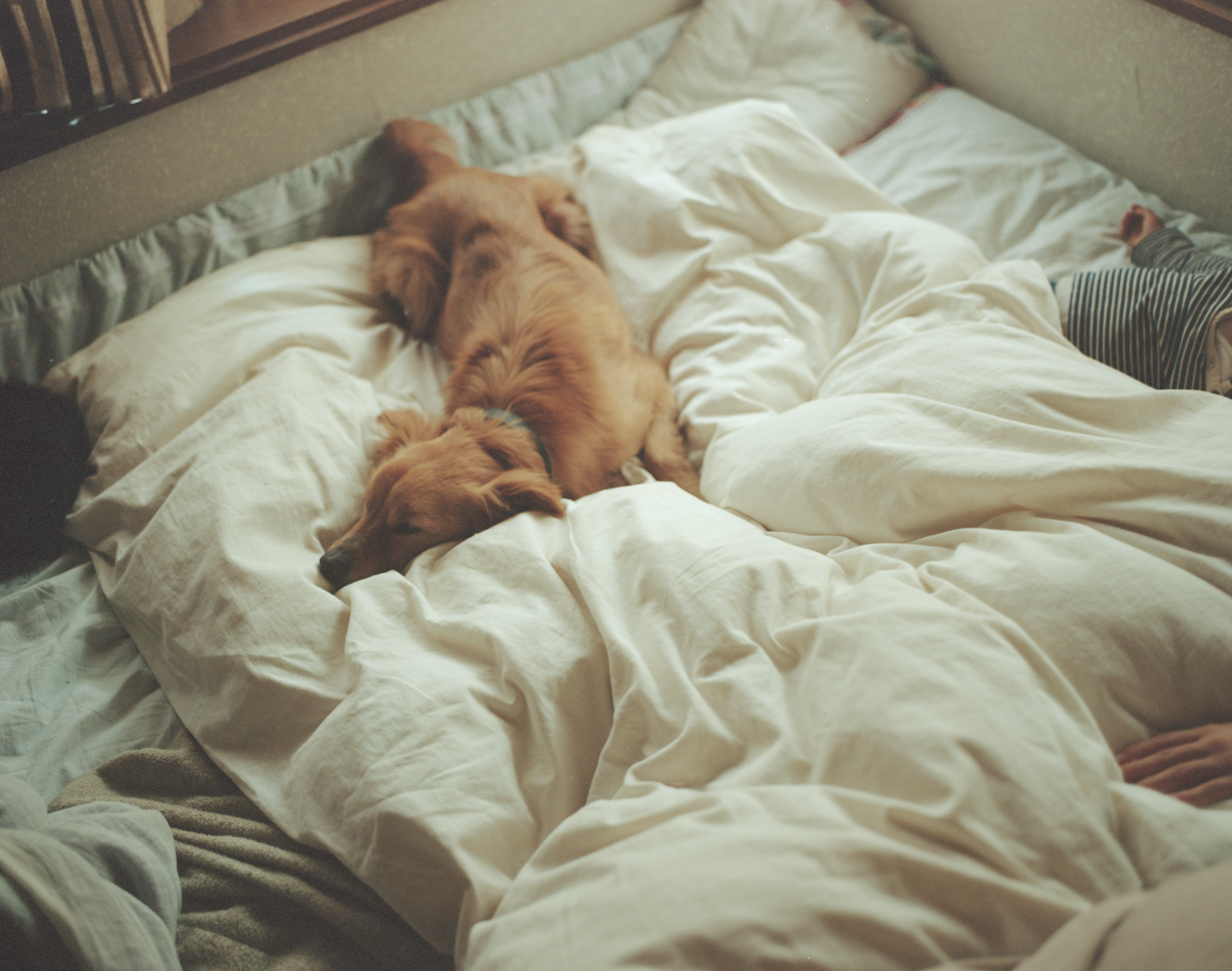 続　日々の隙間　2018