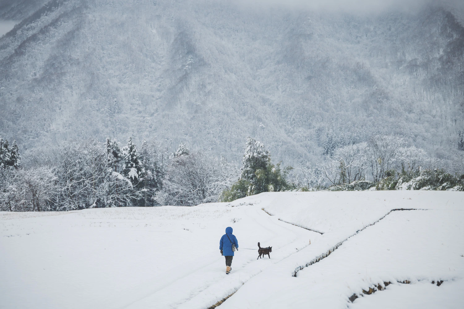 3月の雪